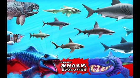 all sharks in hungry shark|hungry shark prey predator alike.